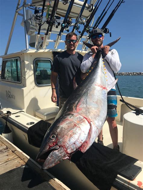 000: 119 08. . Tuna fishing southern california